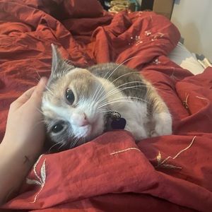 Meet your Posher, Kyleigh